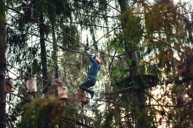 La Jungla - Villa Tunari Park