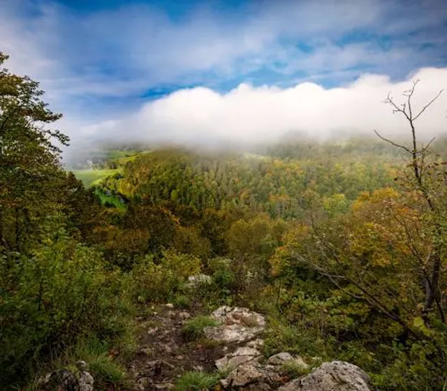 Point de Vue du Rocher à Pic