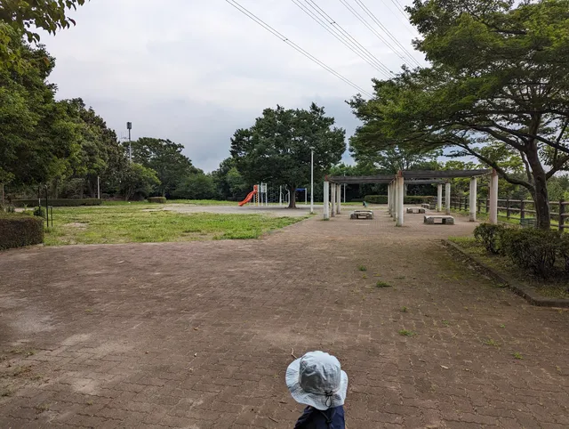 Kosaigawa Ryokuchi Park