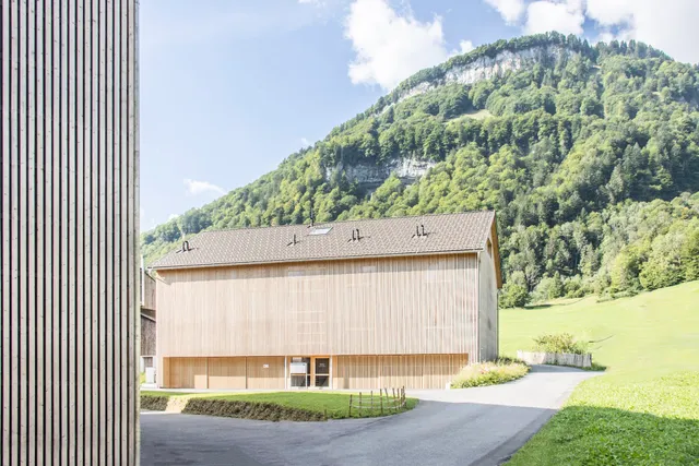 Wasserfall Apartments Mellau