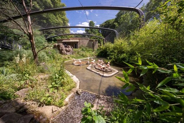 Aralandia im Grünen Zoo Wuppertal