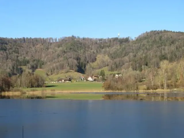 Türlersee