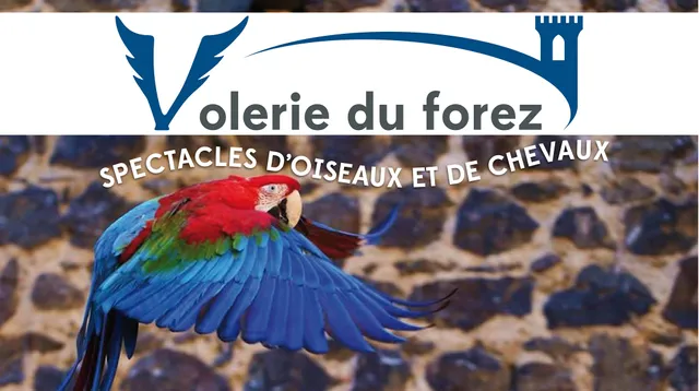 Volerie du Forez