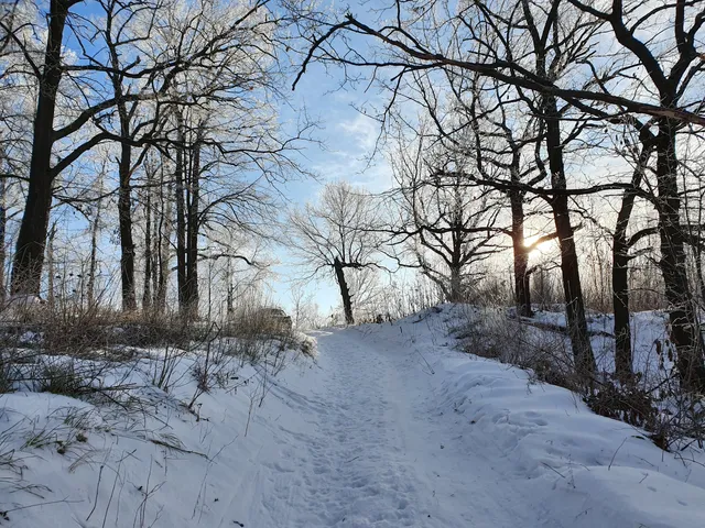 Park of Culture and Leisure of the Leninsky District