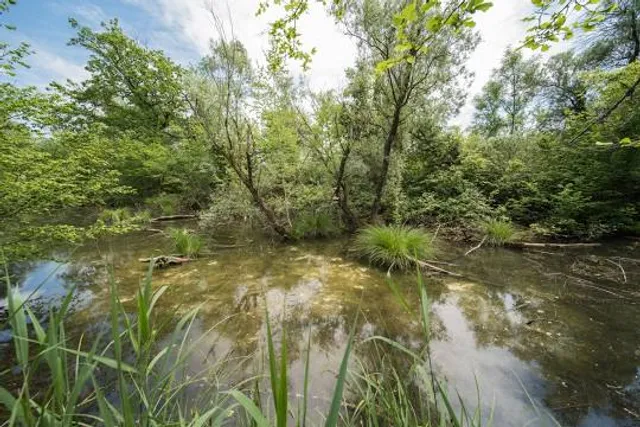 National Nature Reserve of La Petite Camargue