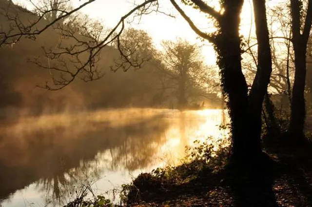 St Catherine's Woods