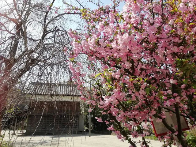 photo-3