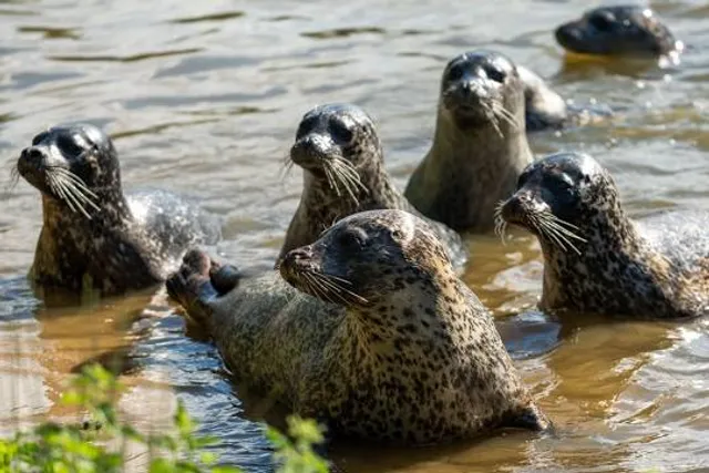 West Coast Park & ​​Robbarium