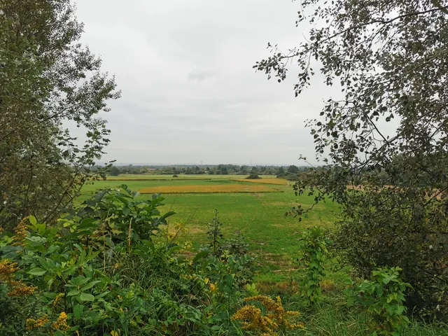 Łąki Nowohuckie w Krakowie