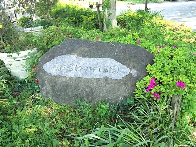 Haramachida Wakaba Park