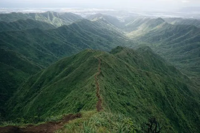 Tripler Ridge Trail