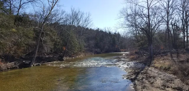 Lights of Joy Christmas Drive-Thru