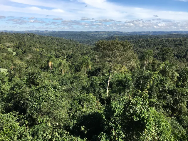 Yabotí Biosphere Reserve