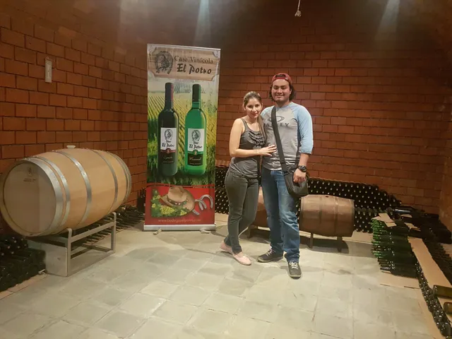 Casa Vinícola El Potro