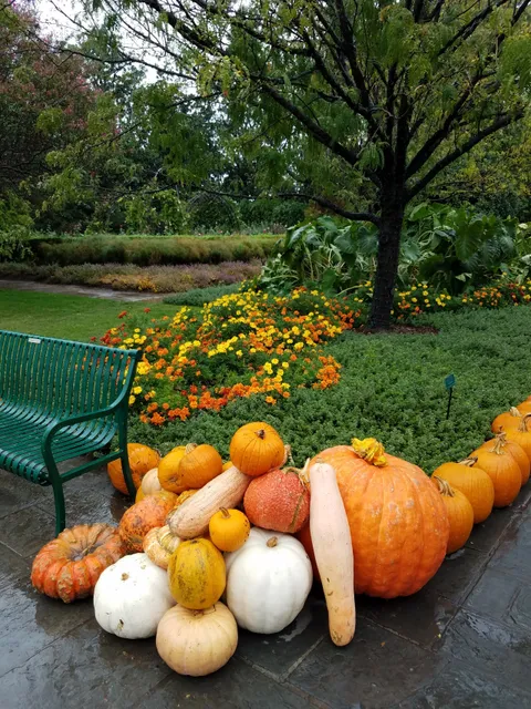 Dallas DeGolyer Estate