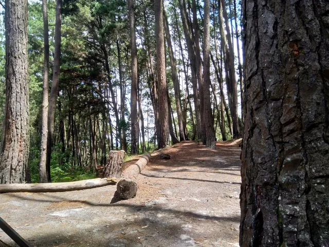 Parque Nacional Macarao