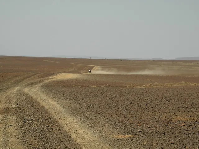 Koobi Fora, First Homo Erectus