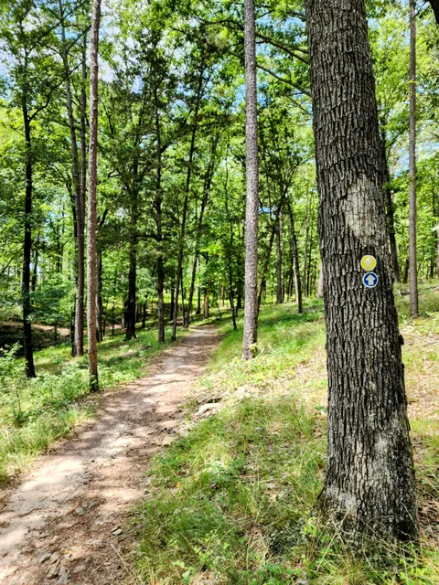 Caddo Bend Trailhead