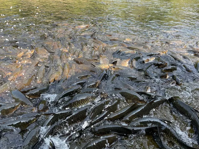 Shree Shishileshwara Temple Gudi