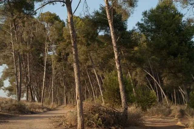 caïdat de Ain Chkef