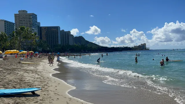 Aloha Beach Services