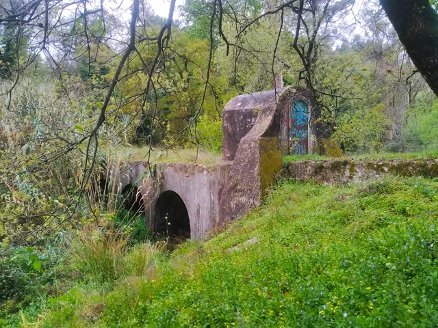 Mata de Belas (Fonteireira)