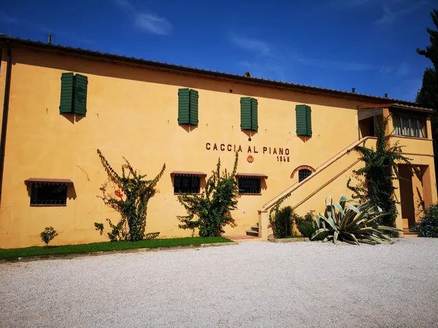 Caccia Al Piano 1868