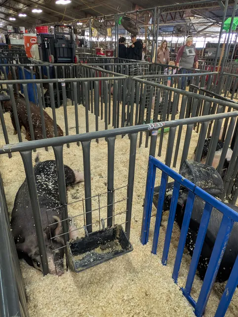 Texoma Exposition & Livestock Show
