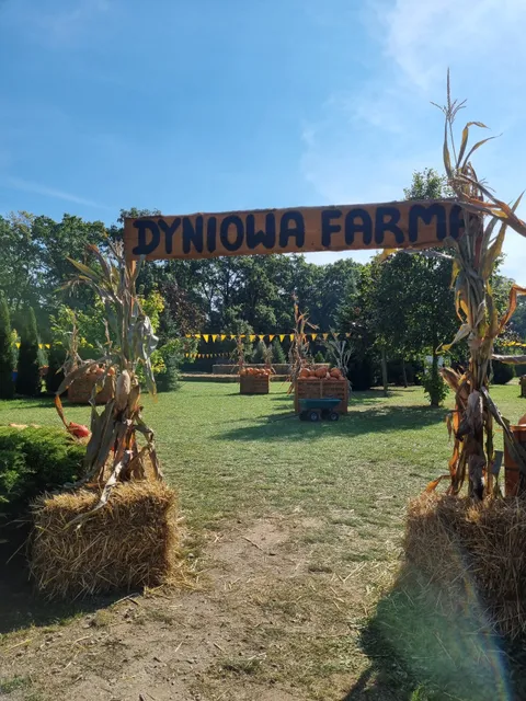 Dyniowa Farma