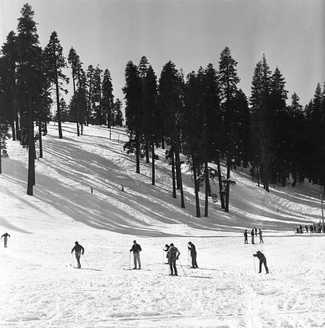 Badger Pass Ski Area