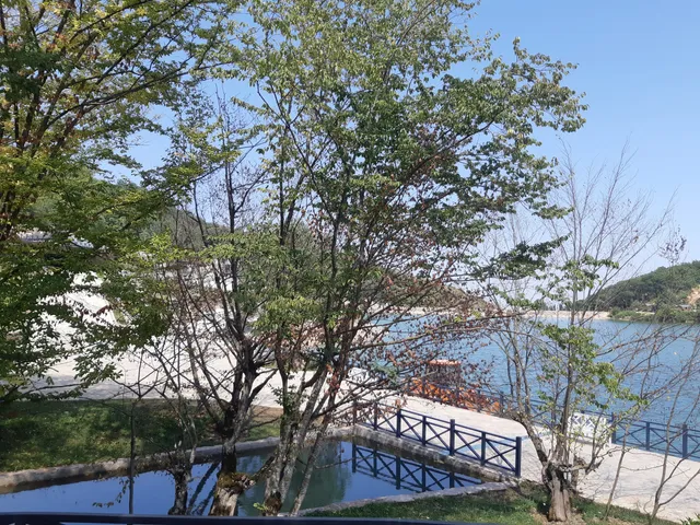place image