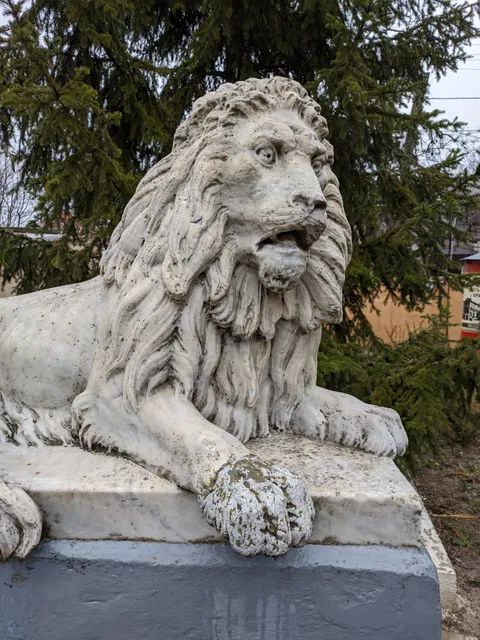 photo-1