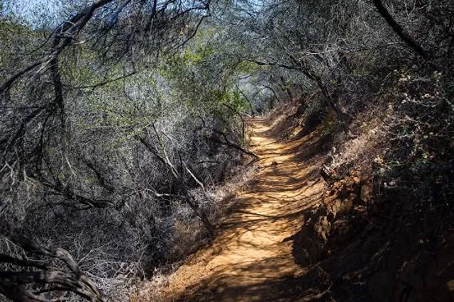 Temescal Gateway Park, Mountains Recreation & Conservation Authority