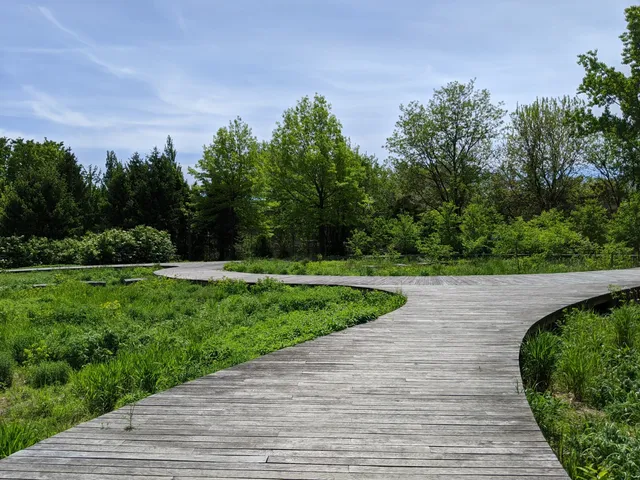 Naval Cemetery Landscape