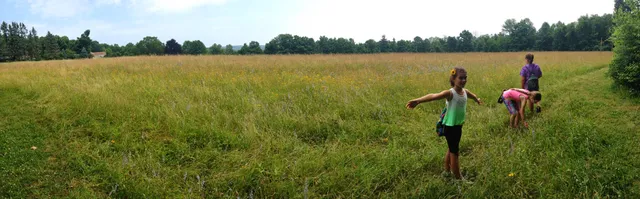 Webb Mountain Discovery Zone