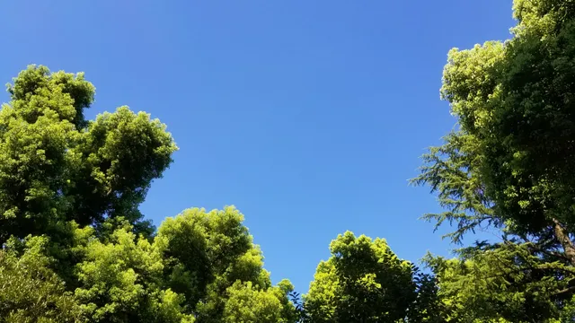 Miyazaki Daiyon Park