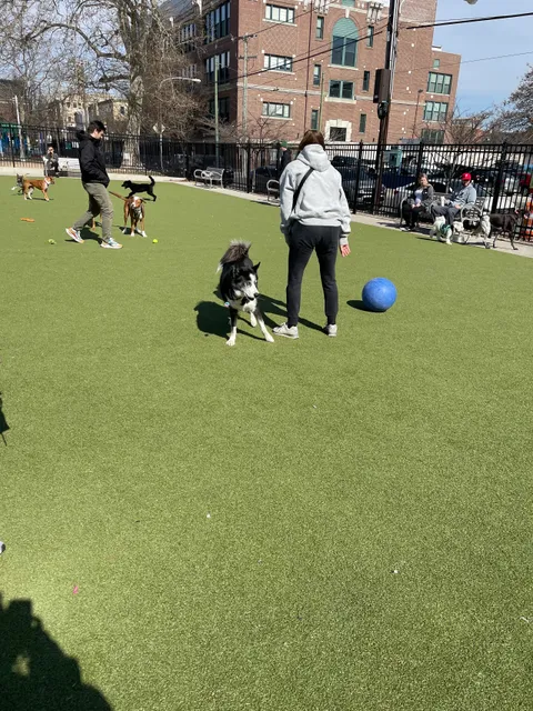 Columbus Square Dog Park