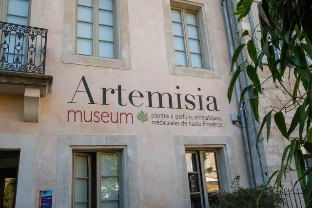 Artemisia museum