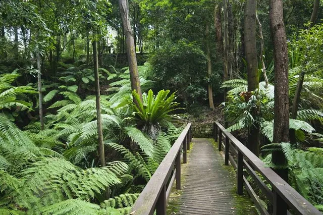 Australian National Botanic Gardens