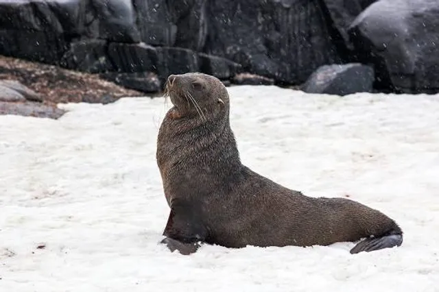 SEA LIFE Charlotte-Concord