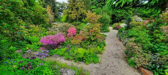 Alpengarten im Belvedere