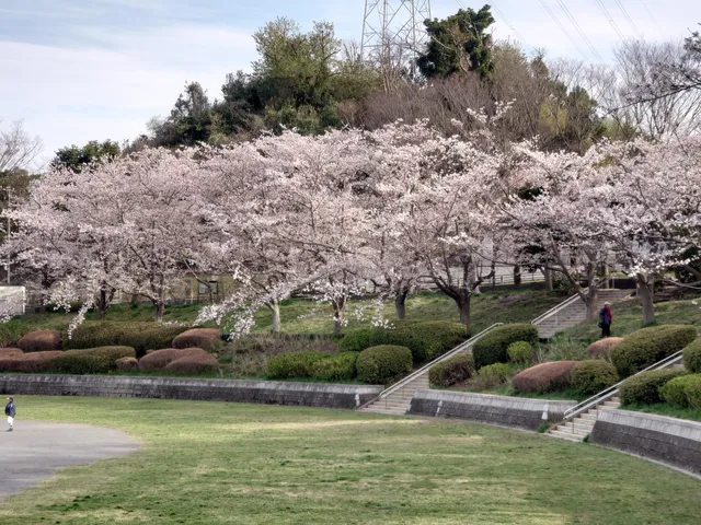 Inoyama Higashi Park