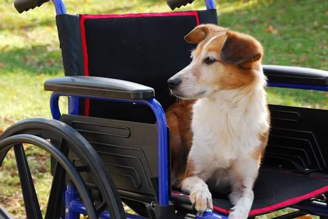 Mini skanzen Medzilaborce