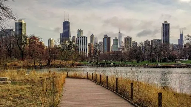 Nature Boardwalk at Lincoln Park Zoo