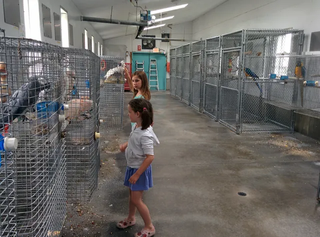 Parrot Island Sanctuary