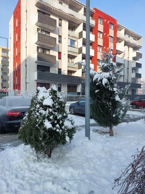 Ava Lounge Apartments Brasov (2)