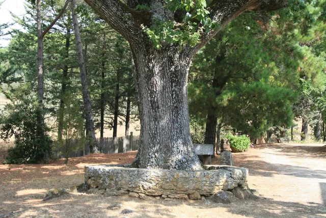 Podere Botrona Appartamenti in Affitto Pomarance