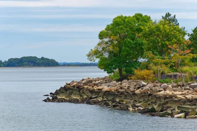 Savin Hill and Malibu Beach