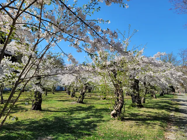 photo-1