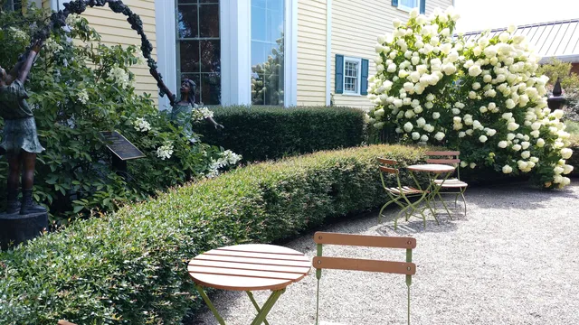 photo-1